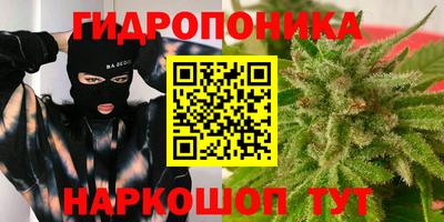 прущие крисы Тара