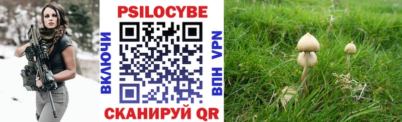 Псилоцибиновые грибы мухоморы  Усть-Лабинск 