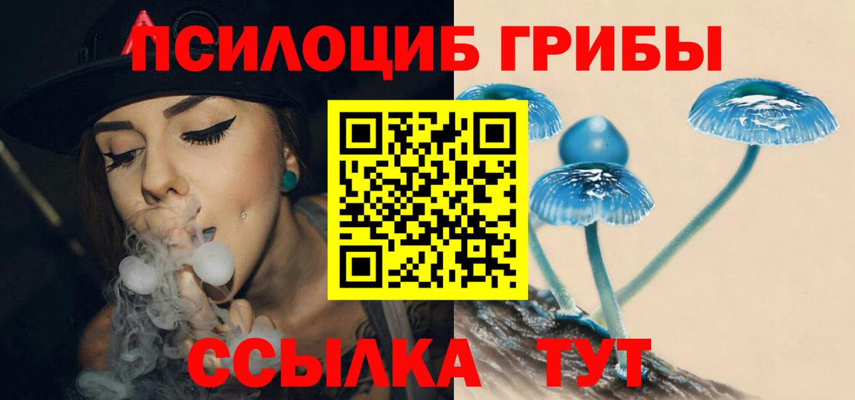 Усть-Лабинск  Псилоцибиновые грибы мицелий  Галлюциногенные грибы GOLDEN TEACHER  Вход с VPN 