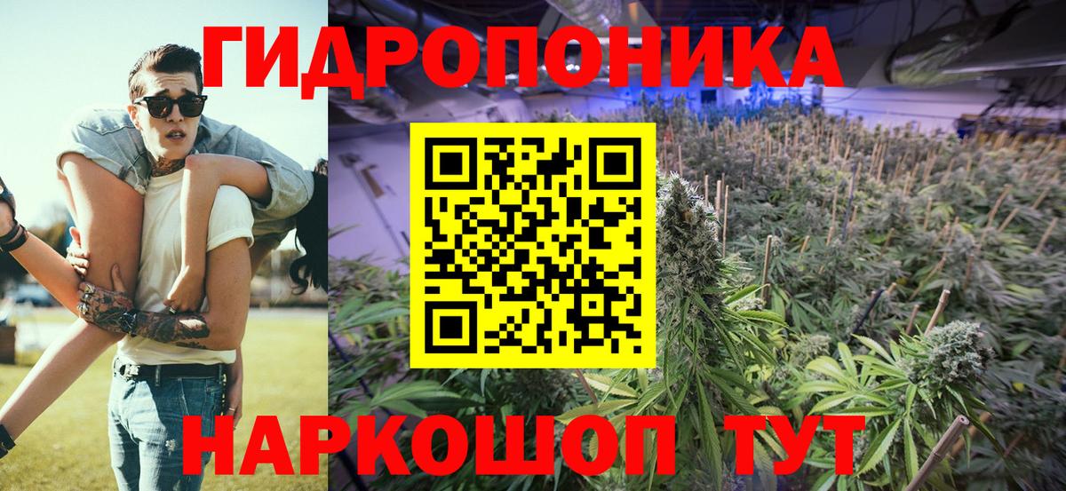 Конопля планчик  МАРИХУАНА план  Вход с VPN  Усть-Лабинск  Марихуана индика  Конопля гибрид 